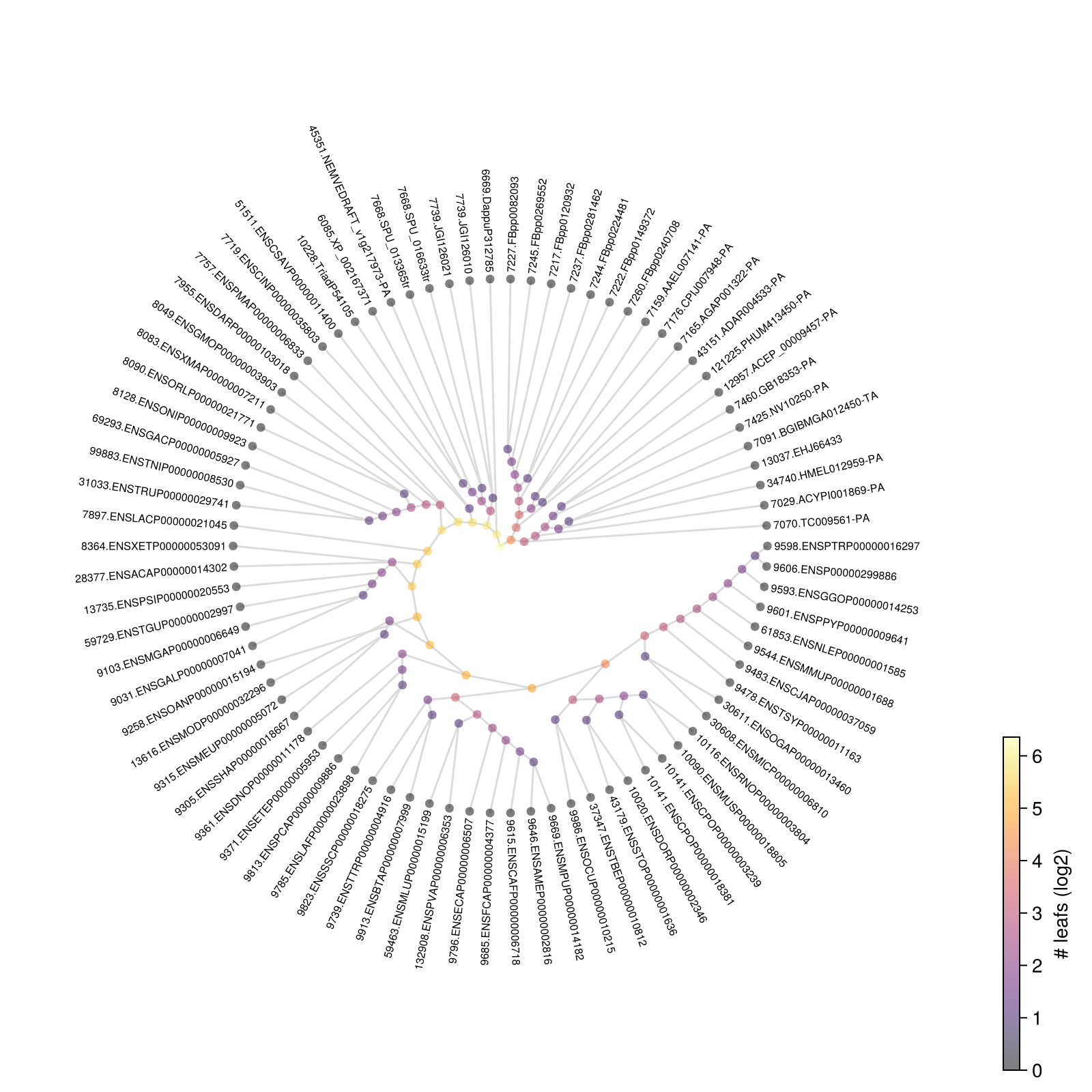 Example block output