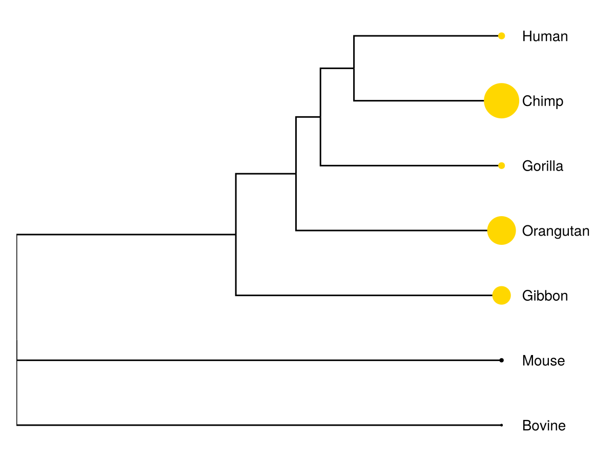 Example block output