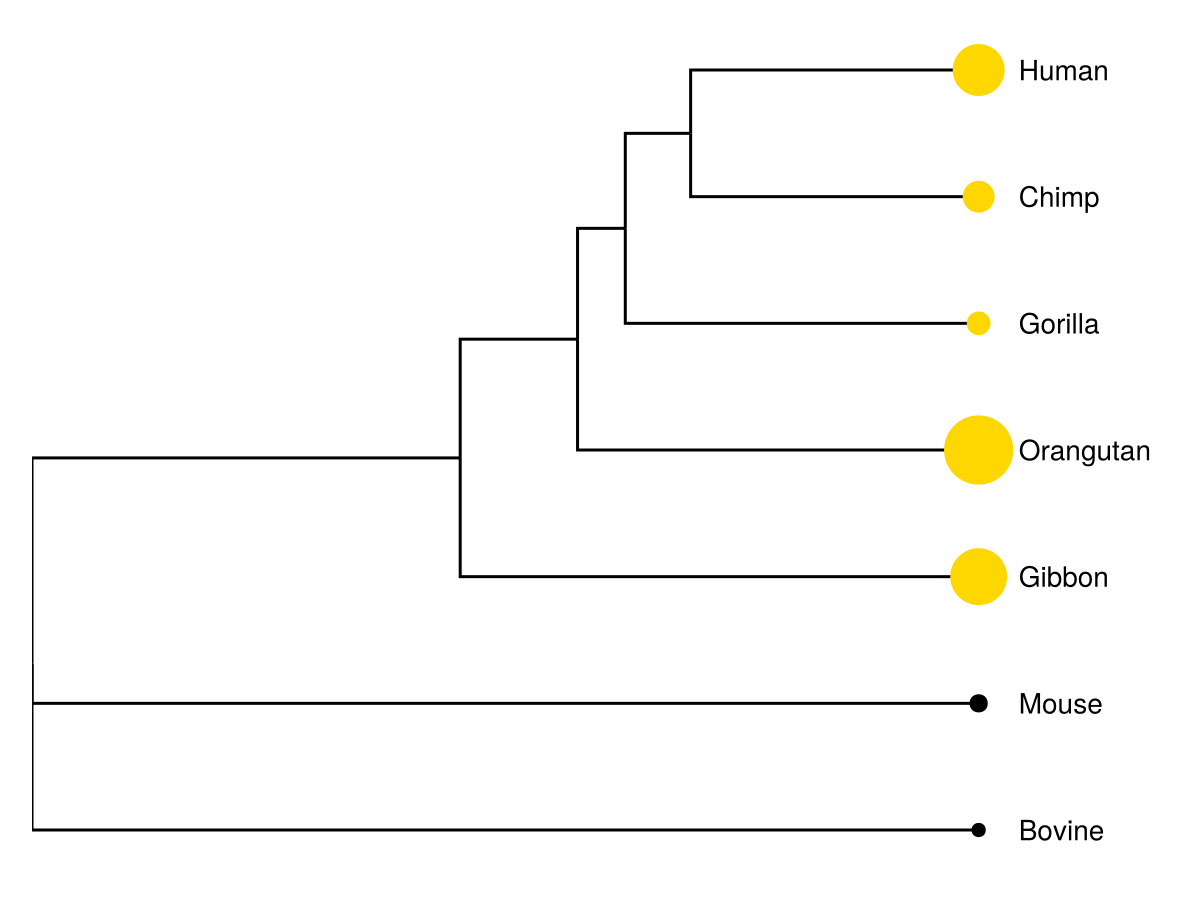 Example block output