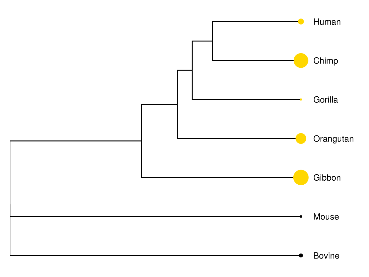 Example block output